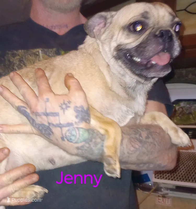 Jenny