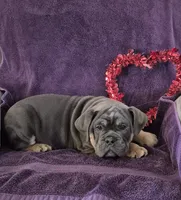 processed/0dd25c7d-feae-46cf-b06f-54b8cab19d75/listing/aad5eddf-4977-40ba-954c-f7c3dc5e7599/0daab0e8-2f84-44ab-a1af-19590d93367e