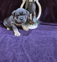 processed/0dd25c7d-feae-46cf-b06f-54b8cab19d75/listing/aad5eddf-4977-40ba-954c-f7c3dc5e7599/f6ec67a7-a934-4fc5-9069-f624122b1b0a