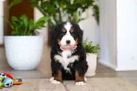 processed/0dd35782-4d5f-485a-8e41-401bcc943c0a/listing/f1abc20f-c813-456b-8ec3-43c9b150f0c3/184e881d-f856-4399-8987-9e05e5f3d449