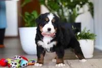 processed/0dd35782-4d5f-485a-8e41-401bcc943c0a/listing/f1abc20f-c813-456b-8ec3-43c9b150f0c3/326a74c7-557e-4936-a89e-d630f94c8f65