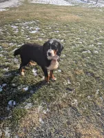 processed/0dd35782-4d5f-485a-8e41-401bcc943c0a/listing/faac048c-996e-49a1-b479-9f8a87ce7de9/05f08b0f-73dc-4b5e-9547-3ac23019f291