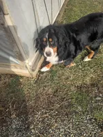 processed/0dd35782-4d5f-485a-8e41-401bcc943c0a/listing/faac048c-996e-49a1-b479-9f8a87ce7de9/4b38d24e-60bf-4958-8bc9-73e816208495