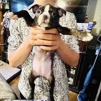 processed/0dd6a7a7-40ea-4796-a379-971a97bf82bc/facility/15fa78df-f2f3-4b17-a09a-1abae8b32492