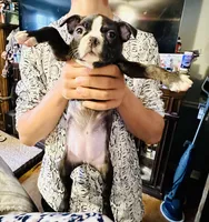 processed/0dd6a7a7-40ea-4796-a379-971a97bf82bc/facility/15fa78df-f2f3-4b17-a09a-1abae8b32492