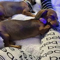 processed/0dd6a7a7-40ea-4796-a379-971a97bf82bc/facility/3e5d533c-ee0d-4cfa-ae55-b5b5bd2042c5