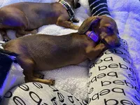 processed/0dd6a7a7-40ea-4796-a379-971a97bf82bc/facility/3e5d533c-ee0d-4cfa-ae55-b5b5bd2042c5