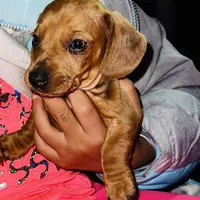 processed/0dd6a7a7-40ea-4796-a379-971a97bf82bc/facility/7faf6a0a-0d80-4277-a758-154158f9c1b1