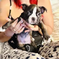 processed/0dd6a7a7-40ea-4796-a379-971a97bf82bc/facility/dc07cd7a-148d-4356-a257-ced0dbe864d0