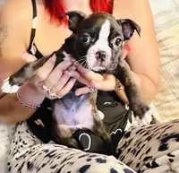 processed/0dd6a7a7-40ea-4796-a379-971a97bf82bc/facility/dc07cd7a-148d-4356-a257-ced0dbe864d0