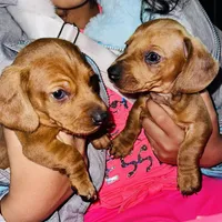 processed/0dd6a7a7-40ea-4796-a379-971a97bf82bc/facility/dd11e51d-6bef-4074-8b29-d27982b21631