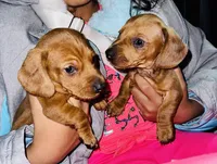 processed/0dd6a7a7-40ea-4796-a379-971a97bf82bc/facility/dd11e51d-6bef-4074-8b29-d27982b21631