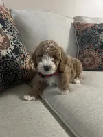 processed/0ddd2347-1d1a-414c-a221-7b50f9d4ec52/listing/0c732e66-81b8-492a-85a7-ed1061ade935/60b67eaa-1d9a-4f03-bd5a-9fb90c298376