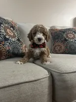 processed/0ddd2347-1d1a-414c-a221-7b50f9d4ec52/listing/0c732e66-81b8-492a-85a7-ed1061ade935/a20662d4-ed1f-45be-b639-4031812260cb