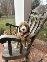 processed/0ddd2347-1d1a-414c-a221-7b50f9d4ec52/listing/0c732e66-81b8-492a-85a7-ed1061ade935/cdd37fb8-ee46-4db4-93f7-329a64a00511