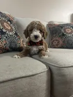 processed/0ddd2347-1d1a-414c-a221-7b50f9d4ec52/listing/0c732e66-81b8-492a-85a7-ed1061ade935/d5afcce0-c64d-4036-9909-e553ccccfb52