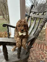 processed/0ddd2347-1d1a-414c-a221-7b50f9d4ec52/listing/d6c09577-42fb-4b97-b8d7-bd99feedfc92/29c97703-0bcc-41ed-bd21-fecb6c706ec5