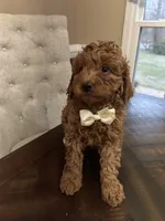 processed/0ddd2347-1d1a-414c-a221-7b50f9d4ec52/listing/d6c09577-42fb-4b97-b8d7-bd99feedfc92/77182655-0a1e-458a-9f81-29cbccad5f74