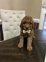 processed/0ddd2347-1d1a-414c-a221-7b50f9d4ec52/listing/d6c09577-42fb-4b97-b8d7-bd99feedfc92/b11f5a22-031b-4f70-82dc-f67c84ba8a03