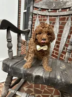 processed/0ddd2347-1d1a-414c-a221-7b50f9d4ec52/listing/d6c09577-42fb-4b97-b8d7-bd99feedfc92/bef7594b-fa15-46f6-9e4e-d6cb5ce336a2