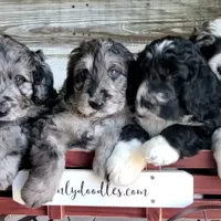 processed/0de247ce-70ab-4b6f-9c86-5f7897e3e081/facility/556e4462-c971-410b-8f5c-cd7d3b4c3f95