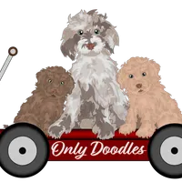 processed/0de247ce-70ab-4b6f-9c86-5f7897e3e081/facility/6a3d87cf-4bab-48ff-a221-e94818820caf