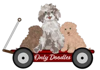 processed/0de247ce-70ab-4b6f-9c86-5f7897e3e081/facility/6a3d87cf-4bab-48ff-a221-e94818820caf