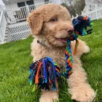 processed/0de247ce-70ab-4b6f-9c86-5f7897e3e081/facility/8628195a-c162-45ee-80f9-64a21fc3284c