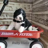 processed/0de247ce-70ab-4b6f-9c86-5f7897e3e081/facility/8a3a1cf7-8e83-43d1-bfb2-d715208557aa