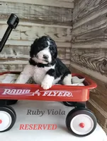 processed/0de247ce-70ab-4b6f-9c86-5f7897e3e081/facility/8a3a1cf7-8e83-43d1-bfb2-d715208557aa