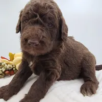 processed/0de247ce-70ab-4b6f-9c86-5f7897e3e081/facility/bcaf03e1-b644-4c3d-81ed-b389592d526a