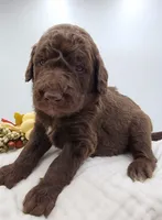 processed/0de247ce-70ab-4b6f-9c86-5f7897e3e081/facility/bcaf03e1-b644-4c3d-81ed-b389592d526a