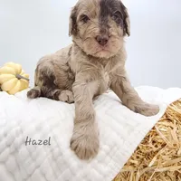 processed/0de247ce-70ab-4b6f-9c86-5f7897e3e081/facility/d18d3f2c-536d-4682-9c5f-a85f9e79cfaa