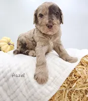 processed/0de247ce-70ab-4b6f-9c86-5f7897e3e081/facility/d18d3f2c-536d-4682-9c5f-a85f9e79cfaa