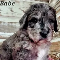 processed/0de247ce-70ab-4b6f-9c86-5f7897e3e081/facility/db2a6f1a-bc18-4790-a8c4-33ee1e384367