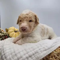 processed/0de247ce-70ab-4b6f-9c86-5f7897e3e081/facility/ef220212-74f4-46e7-9eff-68b6845b7344