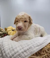 processed/0de247ce-70ab-4b6f-9c86-5f7897e3e081/facility/ef220212-74f4-46e7-9eff-68b6845b7344