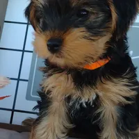 processed/0df3ec12-6783-49d8-ba90-26d392340c9d/facility/111be989-1819-4272-adf0-cb706bce2eb8