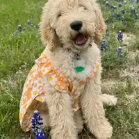 processed/0df3ec12-6783-49d8-ba90-26d392340c9d/facility/23c5387e-5565-4a60-a629-cda495b8b45a