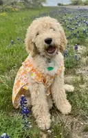 processed/0df3ec12-6783-49d8-ba90-26d392340c9d/facility/23c5387e-5565-4a60-a629-cda495b8b45a