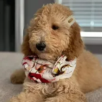 processed/0df3ec12-6783-49d8-ba90-26d392340c9d/facility/2ef8154a-9ab7-435b-9317-73b1a7dc3060