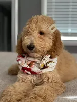 processed/0df3ec12-6783-49d8-ba90-26d392340c9d/facility/2ef8154a-9ab7-435b-9317-73b1a7dc3060