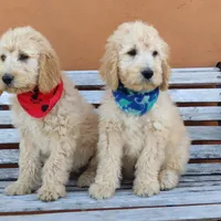 processed/0df3ec12-6783-49d8-ba90-26d392340c9d/facility/4300c6ac-8078-4ee6-b7b4-b2a2d03527dd