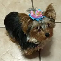 processed/0df3ec12-6783-49d8-ba90-26d392340c9d/facility/4da60a10-a287-4309-b201-84c12a93a4fd