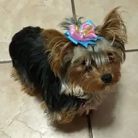 processed/0df3ec12-6783-49d8-ba90-26d392340c9d/facility/4da60a10-a287-4309-b201-84c12a93a4fd