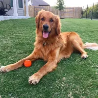 processed/0df3ec12-6783-49d8-ba90-26d392340c9d/facility/5038ad08-2520-420d-98bd-16ea8d9d78af