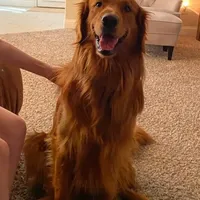 processed/0df3ec12-6783-49d8-ba90-26d392340c9d/facility/6a3d12b8-5d17-468b-ae2f-45285dccc10e