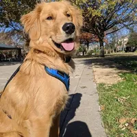 processed/0df3ec12-6783-49d8-ba90-26d392340c9d/facility/a1e9f92c-0a8e-47b9-9a28-e84aef7c5a77