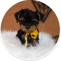 processed/0df3ec12-6783-49d8-ba90-26d392340c9d/facility/b2c7c740-9f76-4dd1-9fd2-fd6221d633cd