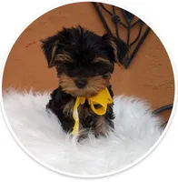 processed/0df3ec12-6783-49d8-ba90-26d392340c9d/facility/b2c7c740-9f76-4dd1-9fd2-fd6221d633cd